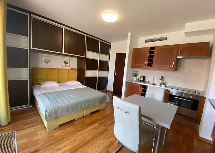 白银公寓酒店 *