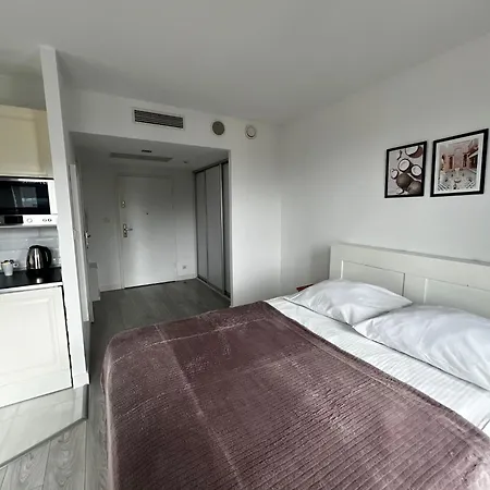 Silver Apartment Wroclaw
